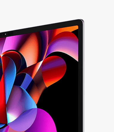 eDisplay XE